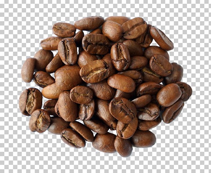 Coffee Cafe Tea Cappuccino Sidamo Province PNG, Clipart, Akase Mokko, Arabica Coffee, Bean, Cafe, Cappuccino Free PNG Download