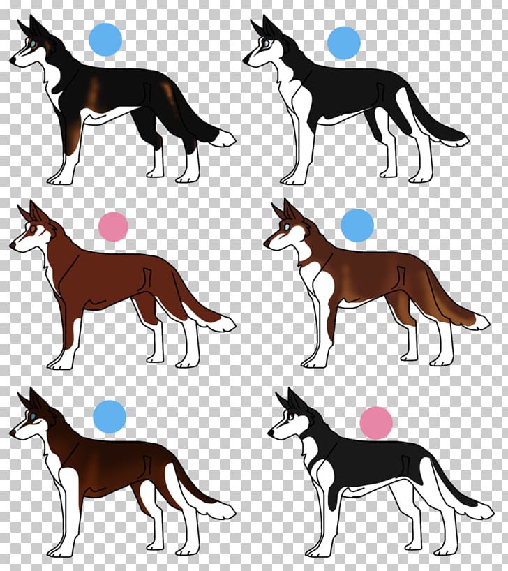 Mustang Foal Stallion Pony Colt PNG, Clipart, Breed, Carnivoran, Character, Colt, Dog Free PNG Download