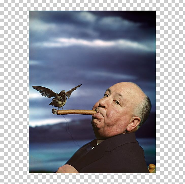 Philippe Halsman: Astonish Me! Galerie Nationale Du Jeu De Paume Photography Photographer PNG, Clipart, Alfred, Art, Artist, Beak, Celebrity Free PNG Download