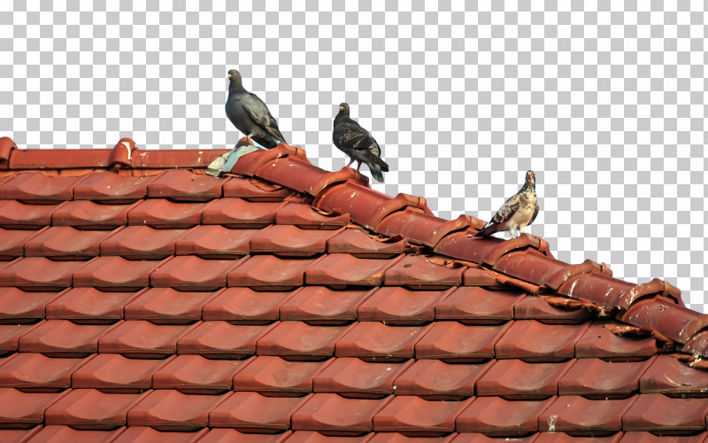 Roof Tondach Gleinstätten Ag PNG, Clipart, Roof Free PNG Download