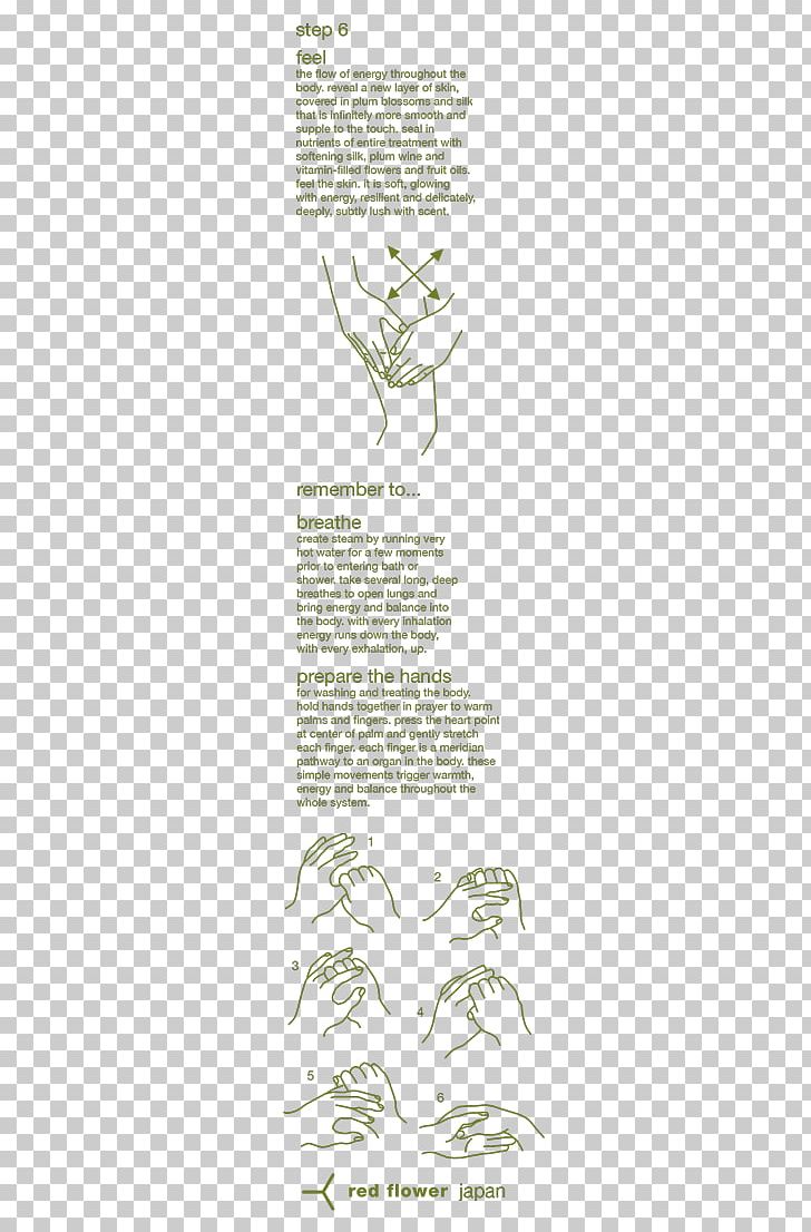 Document Line Art Plant Angle White PNG, Clipart, Angle, Animal, Area, Black And White, Calligraphy Free PNG Download