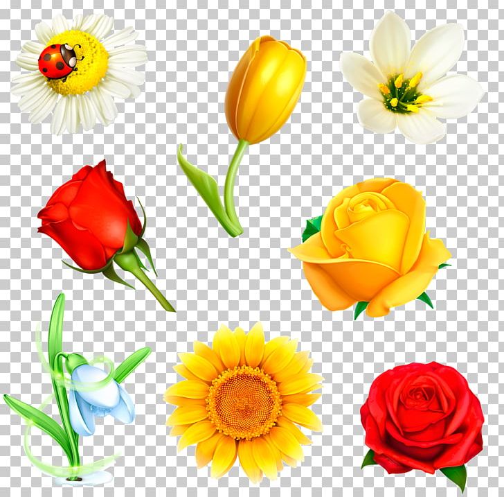 Flower Drawing Floral Design PNG, Clipart, Color, Crocus, Cut Flowers, Drawing, Floral Design Free PNG Download