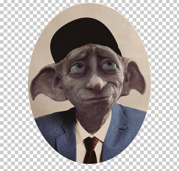 Dobby The House Elf House-elf Snout PNG, Clipart, Dobby, Dobby The House Elf, Elf, Houseelf, Others Free PNG Download