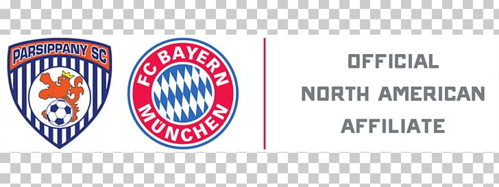 FC Bayern Munich 2017–18 UEFA Champions League Bundesliga Real Madrid C.F. Football PNG, Clipart, Area, Banner, Bavaria, Bayern, Bayern Logo Free PNG Download