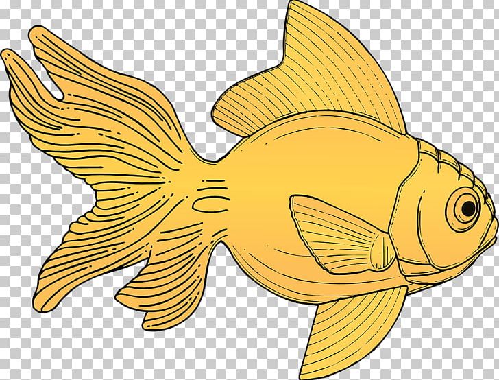 Goldfish PNG, Clipart, Animals, Drawing, Fauna, Fish, Gold Free PNG Download