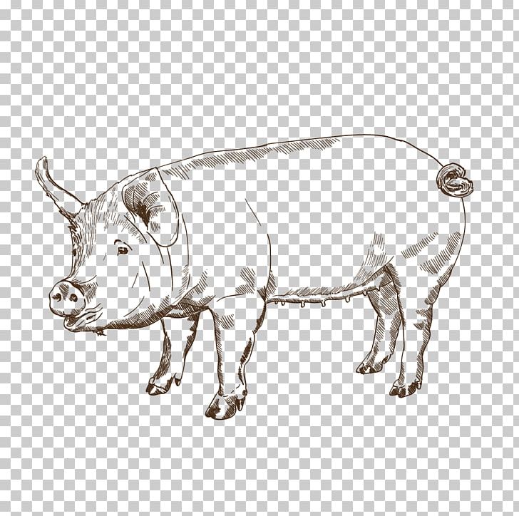 Pig Cattle Ox Bull Snout PNG, Clipart, Animal Figure, Black And White, Bull, Cattle, Cattle Like Mammal Free PNG Download
