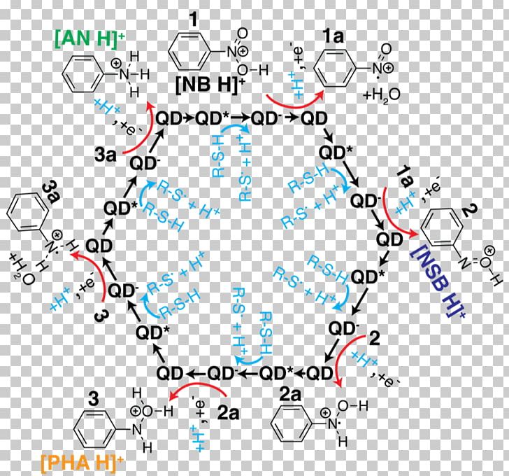 Quantum Dot Photocatalysis Nitrobenzene Aniline PNG, Clipart, Angle, Aniline, Area, Catal, Chemical Reaction Free PNG Download