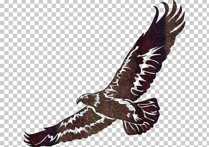 Wall Art Eagle PNG, Clipart, Accipitriformes, Animal, Animals, Art, Bald Eagle Free PNG Download
