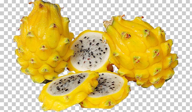 Pitaya Hylocereus Megalanthus Hylocereus Undatus Fruit Food PNG, Clipart, Dragon, Dragonfruit, Dragon Fruit, Food, Friedas Inc Free PNG Download
