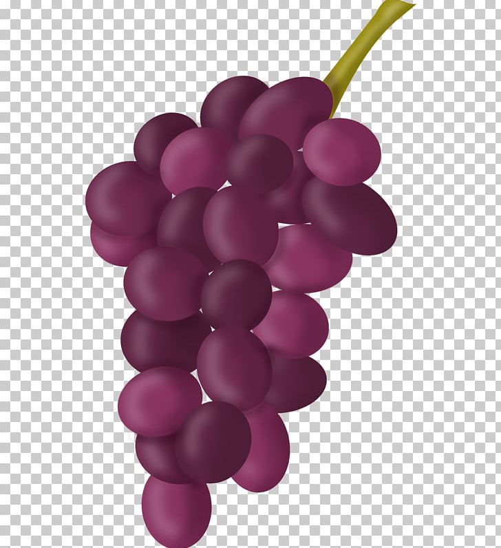 Common Grape Vine Grape Seed Extract Photography PNG, Clipart, Color, Common Grape Vine, Food, Fruit, Fruit Nut Free PNG Download