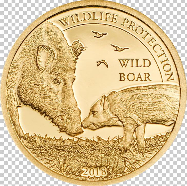 Mongolia Wild Boar Silver Coin PNG, Clipart, American Gold Eagle, Bullion Coin, Cash, Coin, Currency Free PNG Download