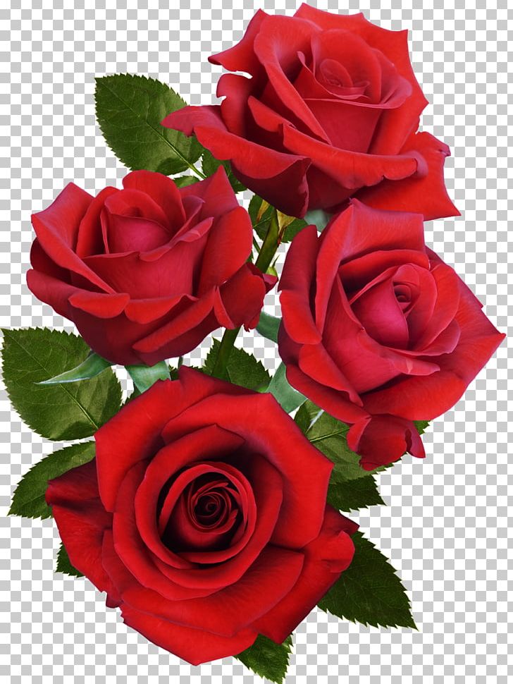 Rose Flower Desktop PNG, Clipart, Animals, Artificial Flower, Cut Flowers, Digital Image, Download Free PNG Download