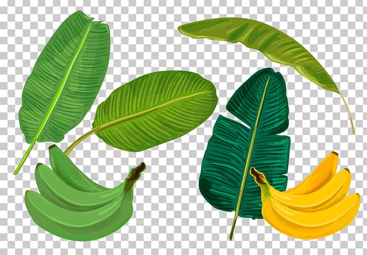 Banana Leaf Sadhya PNG, Clipart, Art, Background Green, Banana, Banana Leaf, Banana Leaves Free PNG Download