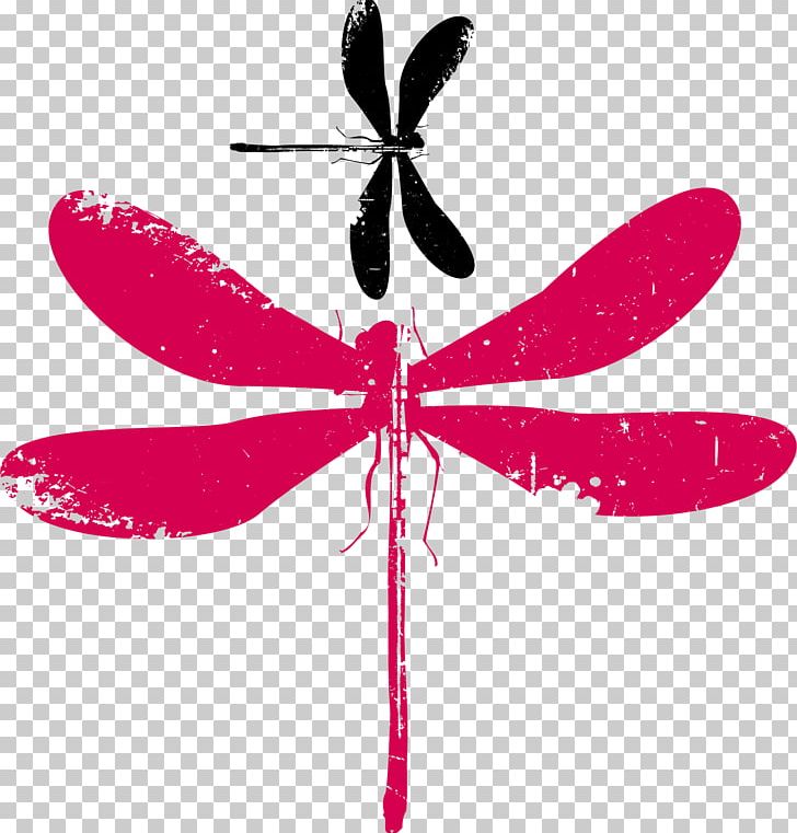 Insect Euclidean Adobe Illustrator PNG, Clipart, Animal, Dragonfly, Dragonfly Vector, Dragonfly Wings, Dragonfly With Flower Free PNG Download