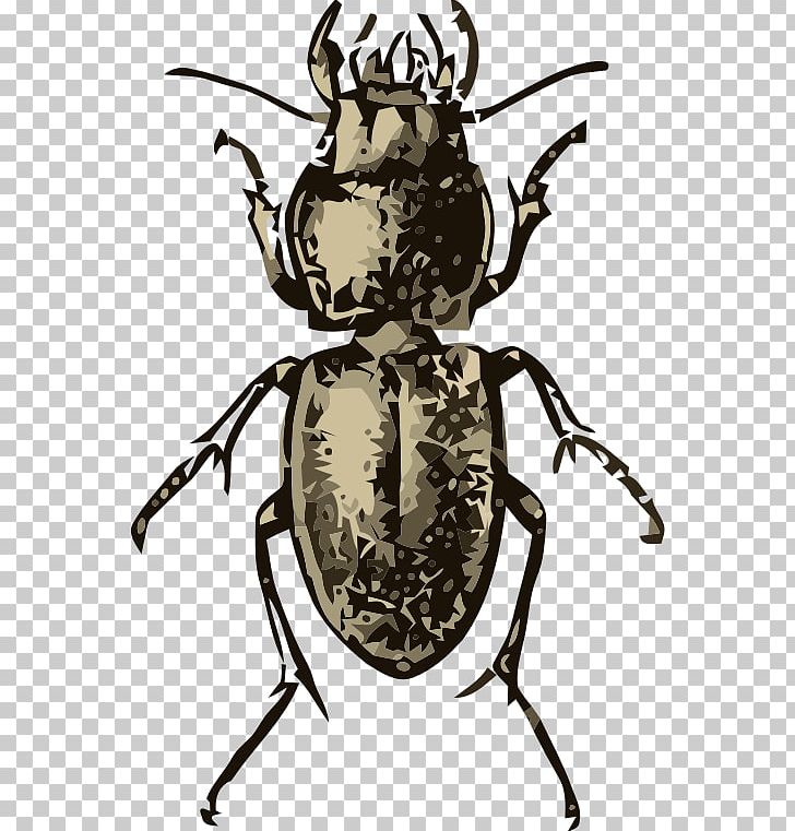 Japanese Rhinoceros Beetle Weevil Scarabs PNG, Clipart, Animals, Art, Arthropod, Beetle, Black And White Free PNG Download