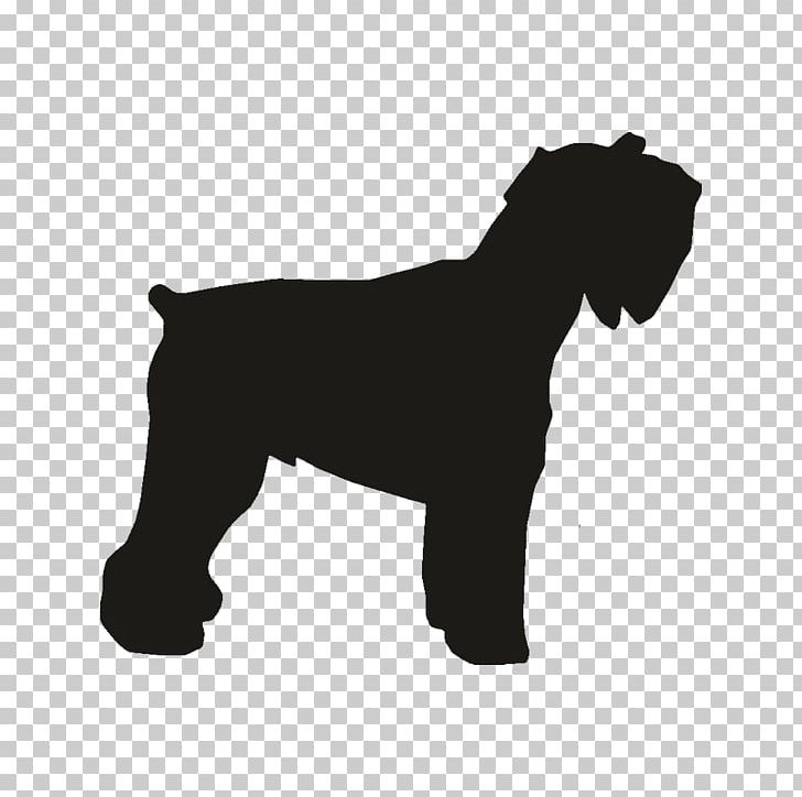 Miniature Schnauzer Dog Breed Rottweiler Dobermann Pit Bull PNG, Clipart, Black, Black And White, Breed, Carnivoran, Chihuahua Free PNG Download