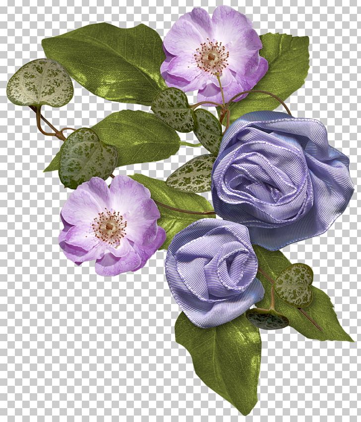Photography PNG, Clipart, Albom, Annual Plant, Artificial Flower, Bellflower Family, Computer Network Free PNG Download