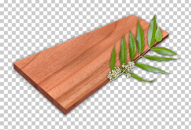 Wood Paper Cedar Drawing Board Building PNG, Clipart, Architecture, Building, Cedar, Drawing, Drawing Board Free PNG Download