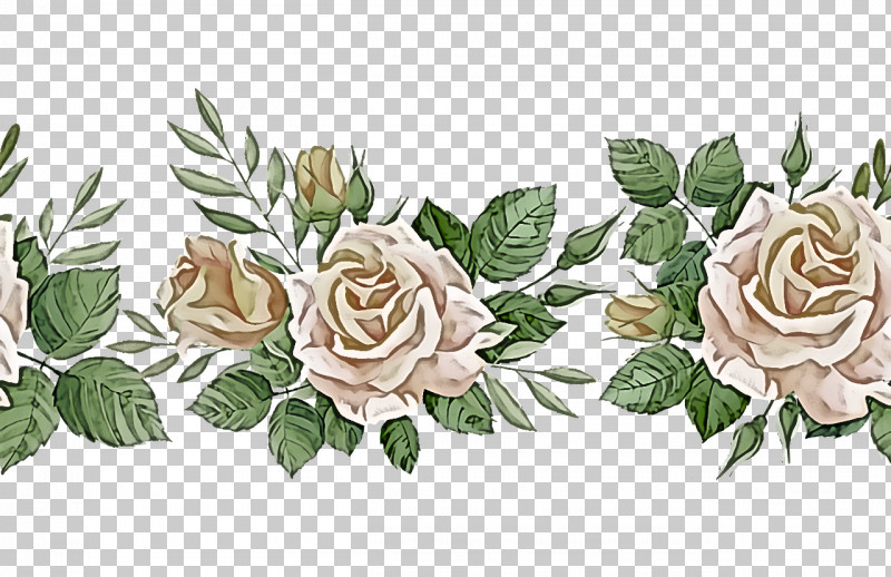 Floral Design PNG, Clipart, Cabbage Rose, Cut Flowers, Flora, Floral Design, Flower Free PNG Download