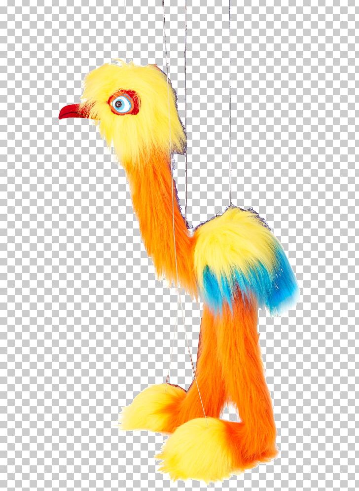 Feather Beak Tail PNG, Clipart, Animals, Beak, Feather, Orange, Tail Free PNG Download