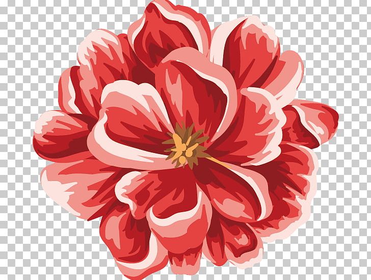 Flower Red PNG, Clipart, Chrysanths, Computer Software, Dahlia, Drawing, Encapsulated Postscript Free PNG Download