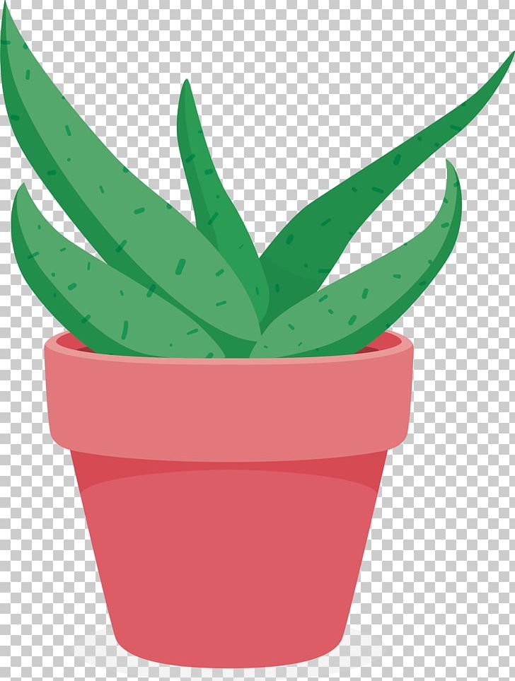 Aloe Flowerpot Plant PNG, Clipart, Agave, Aloe, Aloe Vector, Aloe Vera, Aloe Vera Pulp 12 0 1 Free PNG Download