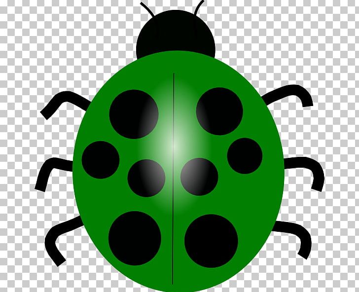 Beetle Ladybird Drawing PNG, Clipart, Animals, Artwork, Beetle, Cartoon, Clip Art Free PNG Download