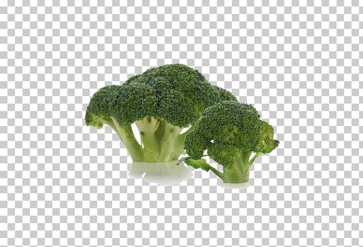 Broccoli Vegetable PNG, Clipart, Adobe Illustrator, Bro, Encapsulated Postscript, Food, Free Logo Design Template Free PNG Download