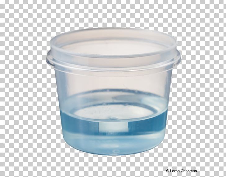 Food Storage Containers Lid Plastic Liquid PNG, Clipart, Container, Food, Food Storage, Food Storage Containers, Glass Free PNG Download