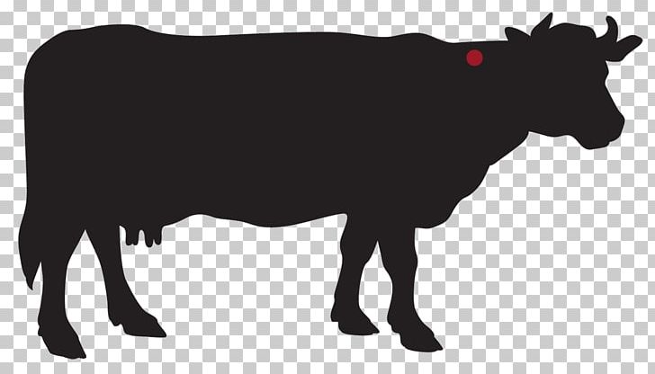 Highland Cattle Calf Beef Cattle Dairy Farming Dairy Cattle PNG, Clipart, Beef, Beef Cattle, Bone Tomahawk, Calf, Cattle Like Mammal Free PNG Download