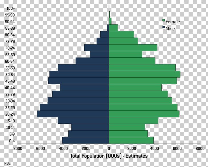 Population Pyramid Literacy Demography Total Fertility Rate PNG, Clipart, Birth Rate, Christmas Tree, Demographic Transition, Demography, Diagram Free PNG Download