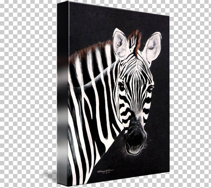 Quagga Watercolor Painting Art Printmaking PNG, Clipart, Abstract Art, Art, Black And White, Canvas, Canvas Print Free PNG Download