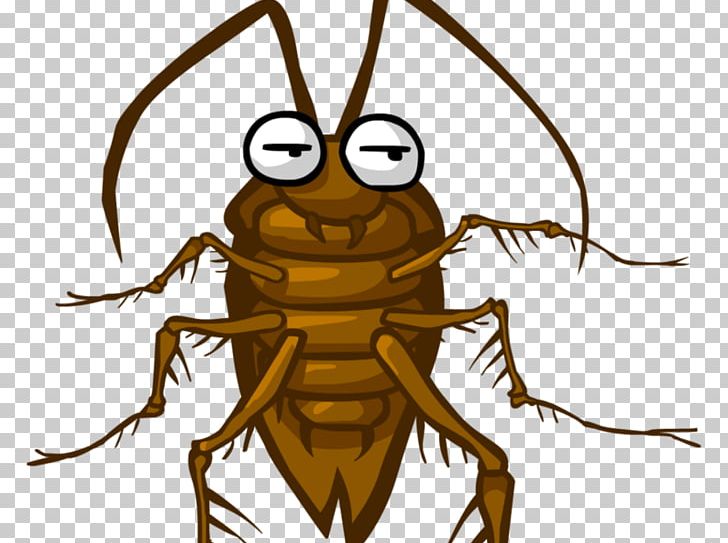 American Cockroach Insect Pest Blattodea PNG, Clipart, American Cockroach, Animals, Arthropod, Artwork, Beetle Free PNG Download