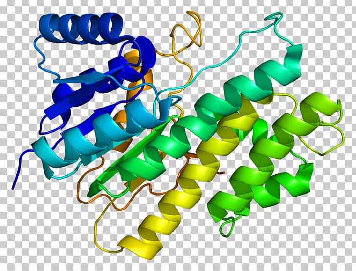 CBR1 Carbonyl Reductase Protein Gene PNG, Clipart, Bhj, Bhm, Body Jewelry, Carbonyl Group, Enzyme Free PNG Download