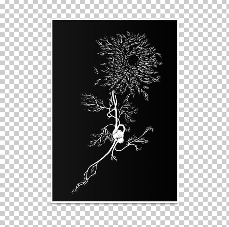 Chrysanthemum Wisgoon TeePublic T-shirt Visual Arts PNG, Clipart, Artist, Arts, Black, Black And White, Chrysanthemum Free PNG Download