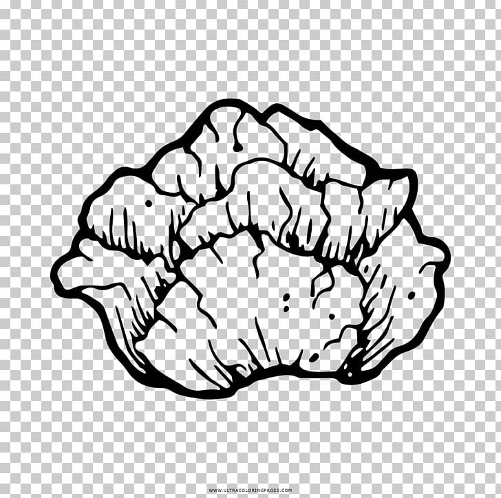 Drawing Coloring Book Vegetable Cabbage PNG, Clipart, Art, Artwork, Black, Black And White, Cabbage Free PNG Download