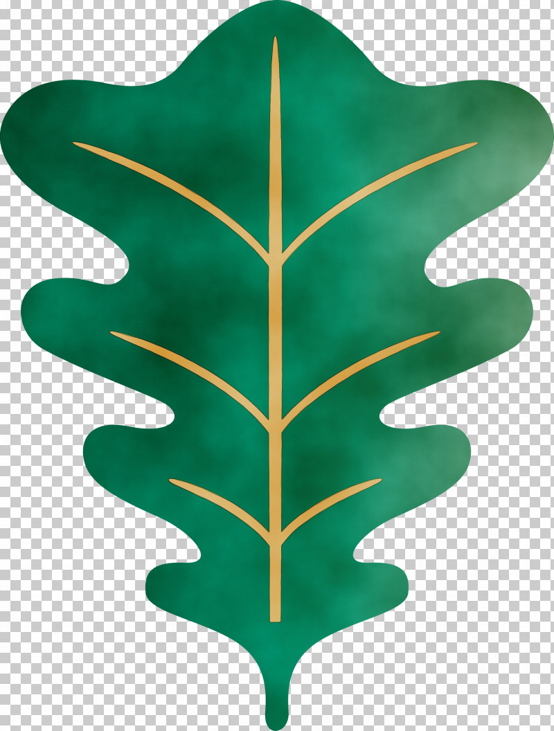 Leaf Tree Green Plants Biology PNG, Clipart, Biology, Green, Leaf, Oak Leaf, Paint Free PNG Download