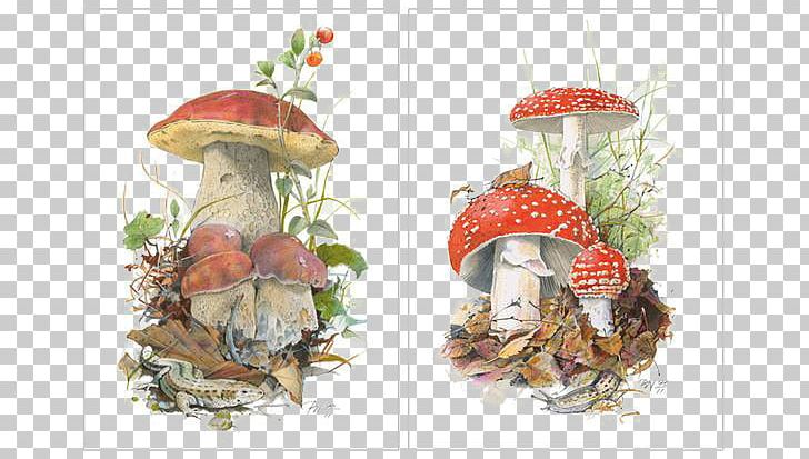 Boletus Edulis Koustrup & Co. Edible Mushroom Poster PNG, Clipart, Agaricus Campestris, Boletus, Boy Cartoon, Cartoon, Cartoon Character Free PNG Download