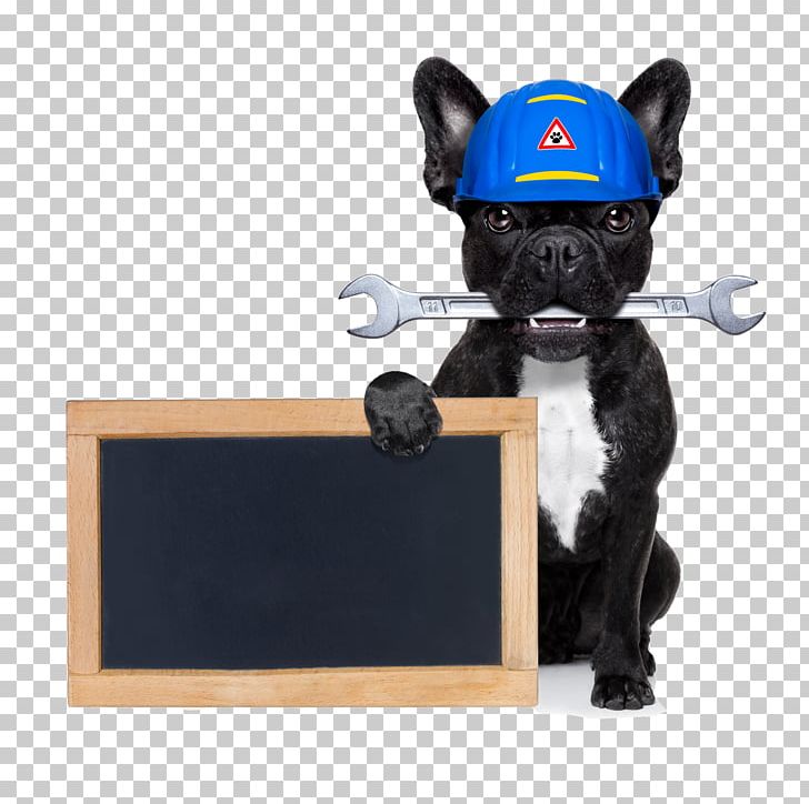 French Bulldog Poodle Handyman Stock Photography PNG, Clipart, Bathroom, Bulldog, Carnivoran, Chalkboard, Construction Free PNG Download