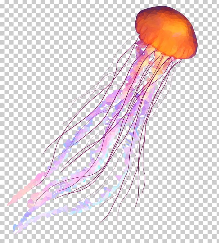 Box Jellyfish Coelenterata Aquatic Animal Soft-bodied Organism PNG, Clipart, Animal, Aquatic Animal, Box Jellyfish, Cnidaria, Coelenterata Free PNG Download