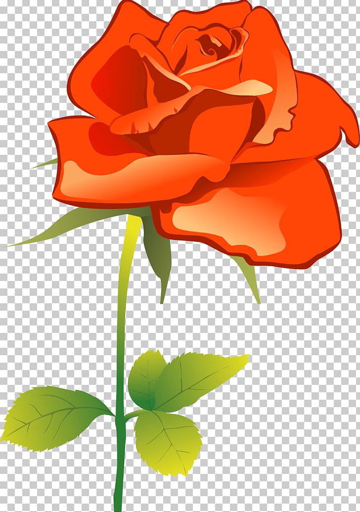 Garden Roses Flower PNG, Clipart, Annual Plant, Color, Cut Flowers, Desktop Wallpaper, Encapsulated Postscript Free PNG Download