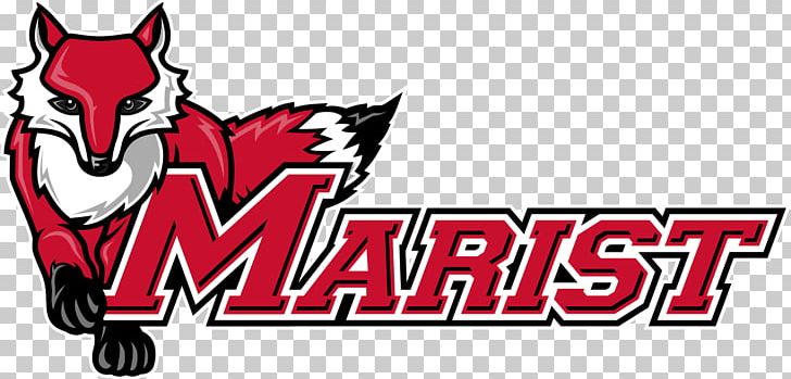 Marist College Marist Red Foxes Men's Basketball Marist Red Foxes Women's Basketball Marist Red Foxes Baseball Marist Red Foxes Football PNG, Clipart,  Free PNG Download