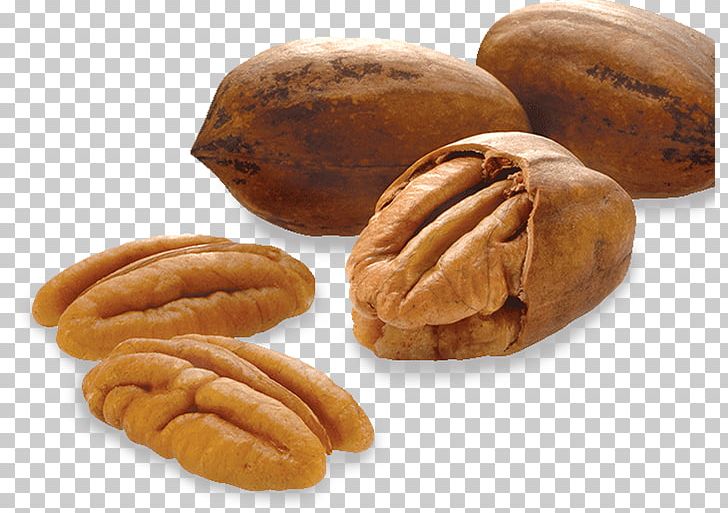 Pine Nut Pecan Almond Tree Nut Allergy PNG, Clipart, Almond, Almond Tree, Areca Nut, Brazil Nut, Cashew Free PNG Download