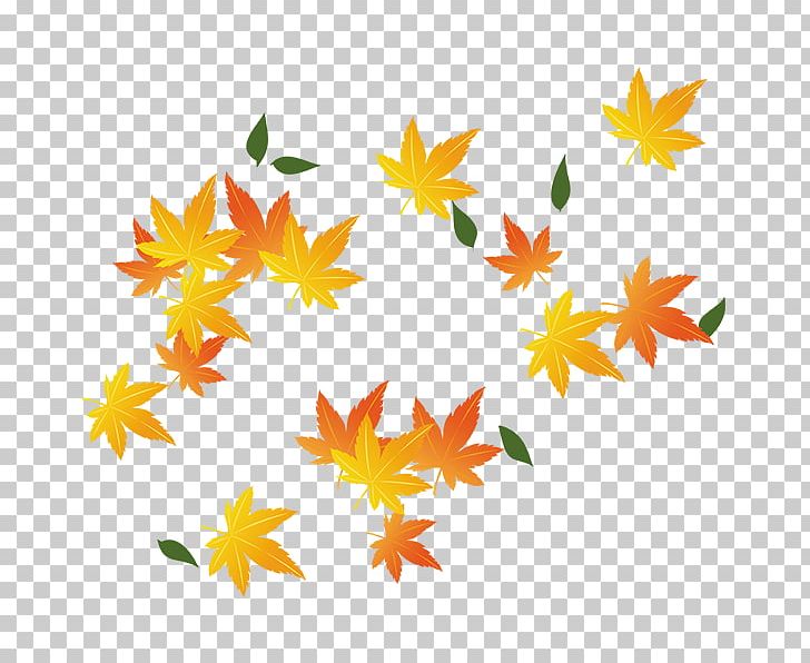 Red Maple Maple Leaf PNG, Clipart, Autumn, Autumn Leaves, Encapsulated Postscript, Euclidean Vector, Fall Free PNG Download