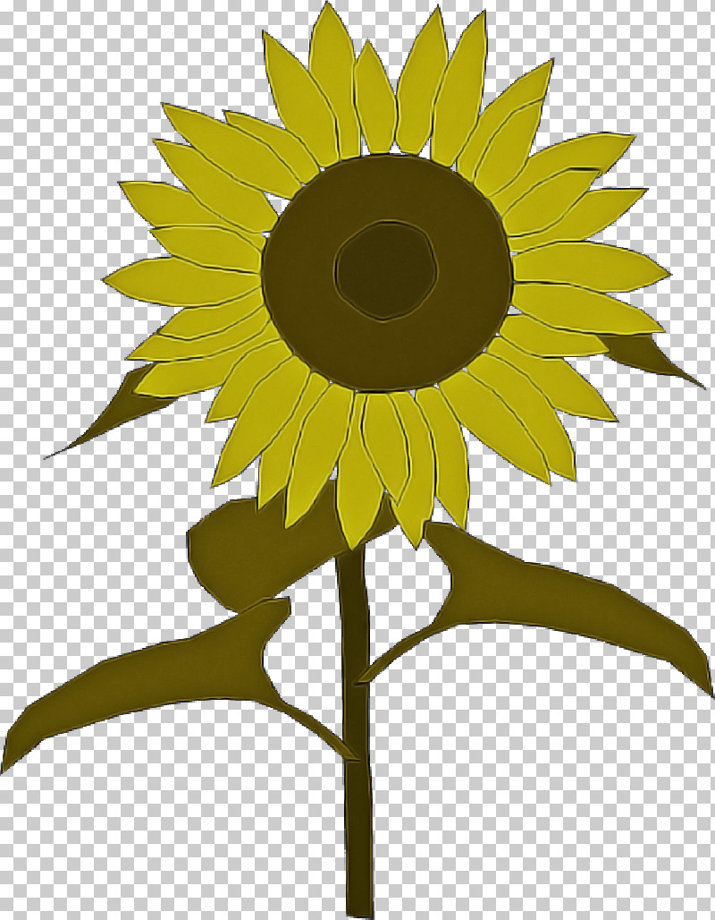 Sunflower PNG, Clipart, Asterales, Blackandwhite, Blackeyed Susan, Daisy Family, Flower Free PNG Download