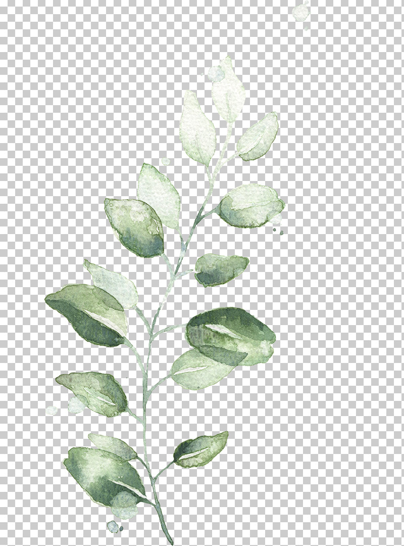 Flower Leaf Plant Tree Branch PNG, Clipart, Branch, Flower, Leaf, Plant, Plant Stem Free PNG Download