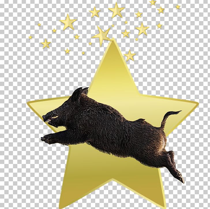 Star Tag PNG, Clipart, 3d Computer Graphics, Animals, Bbcode, Bit, Boar Free PNG Download