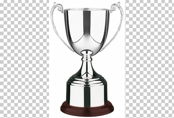 Trophy Award Cup Craft Silver PNG, Clipart, Award, Bowl, Commemorative Plaque, Craft, Cup Free PNG Download