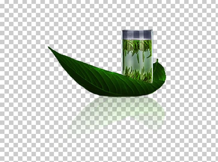 Green Tea Longjing Tea Xinyang Maojian Tea PNG, Clipart, Brand, Camellia Sinensis, Computer Wallpaper, Cup, Grass Free PNG Download