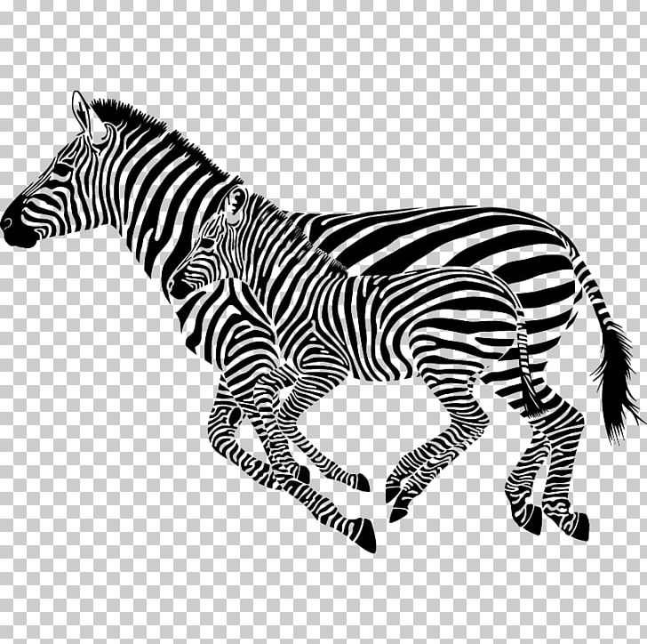 Horse Zebra Wall Decal Sticker PNG, Clipart, Animal Figure, Animals, Barcode, Big Cats, Black And White Free PNG Download